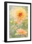 Secret Garden-Jacky Parker-Framed Giclee Print