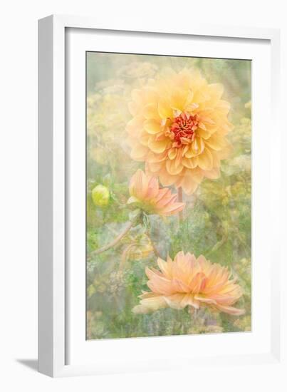 Secret Garden-Jacky Parker-Framed Giclee Print