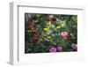 Secret Gardens-Jennifer Henriksen-Framed Photographic Print