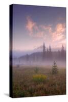 Secret Misty Morning Meadow-Vincent James-Stretched Canvas