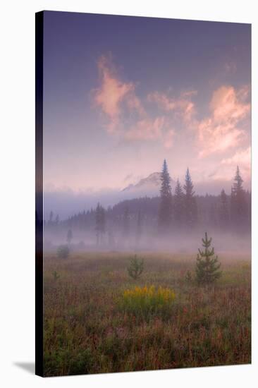 Secret Misty Morning Meadow-Vincent James-Stretched Canvas