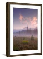 Secret Misty Morning Meadow-Vincent James-Framed Photographic Print