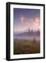 Secret Misty Morning Meadow-Vincent James-Framed Photographic Print