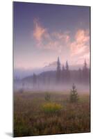 Secret Misty Morning Meadow-Vincent James-Mounted Photographic Print