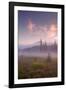 Secret Misty Morning Meadow-Vincent James-Framed Photographic Print