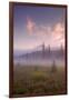 Secret Misty Morning Meadow-Vincent James-Framed Photographic Print