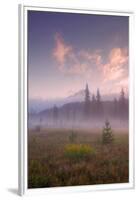 Secret Misty Morning Meadow-Vincent James-Framed Premium Photographic Print