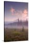 Secret Misty Morning Meadow-Vincent James-Stretched Canvas