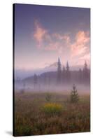 Secret Misty Morning Meadow-Vincent James-Stretched Canvas