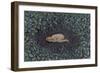 Secret Place 2, 2009-Evelyn Williams-Framed Giclee Print