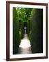 Secret Place-Helen White-Framed Photographic Print