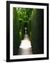 Secret Place-Helen White-Framed Photographic Print