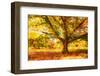 Secret Plans-Philippe Sainte-Laudy-Framed Photographic Print