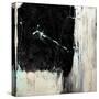 Secret Something-Joshua Schicker-Stretched Canvas