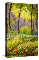 Secret Sunlit Meadow-Valery Rybakow-Stretched Canvas