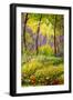 Secret Sunlit Meadow-Valery Rybakow-Framed Art Print