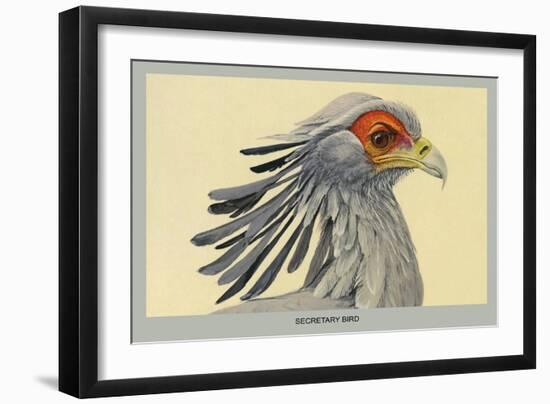 Secretary Bird-Louis Agassiz Fuertes-Framed Art Print