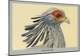 Secretary Bird-Louis Agassiz Fuertes-Mounted Art Print