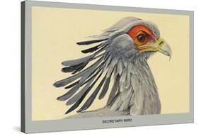 Secretary Bird-Louis Agassiz Fuertes-Stretched Canvas