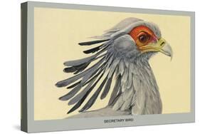 Secretary Bird-Louis Agassiz Fuertes-Stretched Canvas