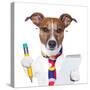 Secretary Dog-Javier Brosch-Stretched Canvas