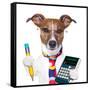 Secretary Dog-Javier Brosch-Framed Stretched Canvas