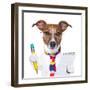 Secretary Dog-Javier Brosch-Framed Photographic Print