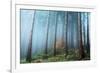 Secrets of the Forest-Ju Riker-Framed Giclee Print