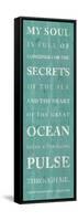 Secrets of the Sea-null-Framed Stretched Canvas