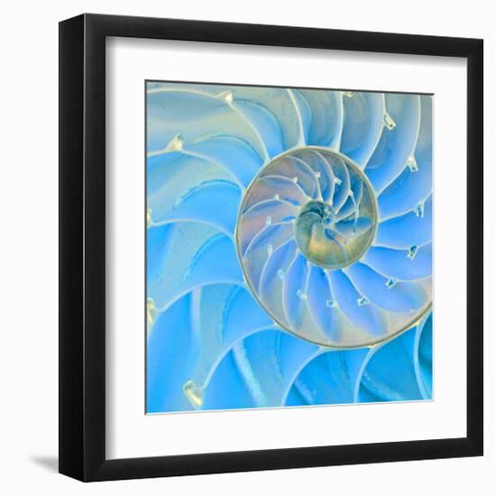 Section Of Nautilus Shell-null-Framed Art Print