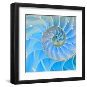 Section Of Nautilus Shell-null-Framed Art Print