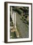 Section of Paved Roman Road with Columns, Ostia, Lazio, Italy-null-Framed Giclee Print