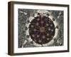 Sectional View of the Earth, Showing Central Fire and Volcanoes, 1665-null-Framed Giclee Print