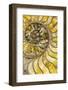 Sectioned fossil ammonite-Paul D Stewart-Framed Photographic Print
