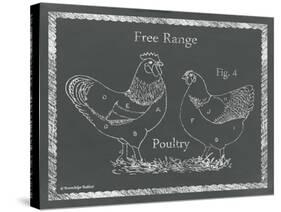 Sectioned Poultry-Gwendolyn Babbitt-Stretched Canvas