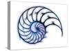 Sectioned Shell of a Nautilus, Artwork-PASIEKA-Stretched Canvas