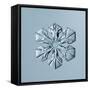 Sectored Plate Snowflake-null-Framed Stretched Canvas