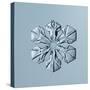 Sectored Plate Snowflake-null-Stretched Canvas