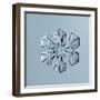 Sectored Plate Snowflake-null-Framed Giclee Print