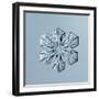 Sectored Plate Snowflake-null-Framed Giclee Print