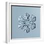 Sectored Plate Snowflake-null-Framed Giclee Print