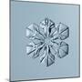 Sectored Plate Snowflake-null-Mounted Giclee Print