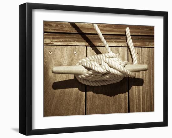 Secured-Marlana Semenza-Framed Art Print