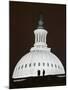 Security Agents Stand Watch on the Roof of the U.S. Capitol-null-Mounted Photographic Print