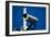 Security Camera-Nathan Wright-Framed Premium Photographic Print