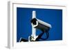 Security Camera-Nathan Wright-Framed Premium Photographic Print