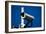 Security Camera-Nathan Wright-Framed Photographic Print