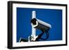 Security Camera-Nathan Wright-Framed Photographic Print