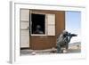 Security Forces Airmen Guard a Building During Training-null-Framed Photographic Print