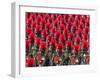 Security Personnel March at the Republic Day Parade in New Delhi, India, Friday, January 26, 2007-Mustafa Quraishi-Framed Photographic Print